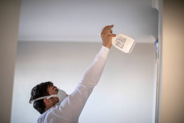 Best Mold Removal Company Near Me  in Terrell, TX
